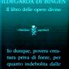 Il libro delle opere divine